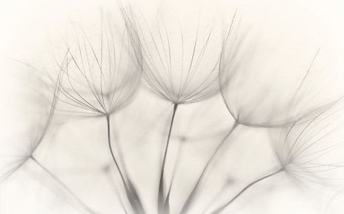 Papermoon Fototapete »Photo-Art JAKOB ARNHOLTZ, KEIN TITEL«