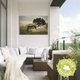 Artland Wandbild »Lorbeerbaum«, Bäume, (1 St.), als Alubild, Outdoorbild, Leinwandbild, Poster, Wandaufkleber