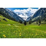 Papermoon Fototapete »Alpenlandschaft«
