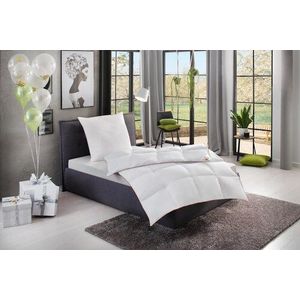 RIBECO Daunenbettdecke »Ella«, normal, Füllung 90% Daunen & 10% Federn, Bezug Baumwolle, (1 St.), Zum Top-Preis!