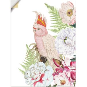 Artland Wandbild »Vintage Papagei II«, Vogelbilder, (1 St.), als Leinwandbild, Poster, Wandaufkleber in verschied. Größen