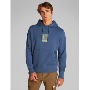 Calvin Klein Jeans Hoodie »BRUSH STROKE GRAPHIC HOODIE«, mit Logodruck