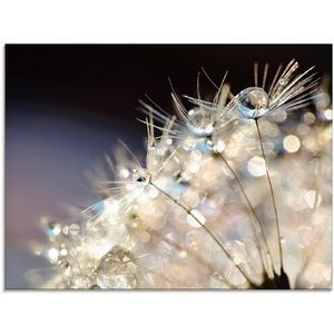 Artland Glasbild »Pusteblume Fantasie«, Blumen, (1 St.), in verschiedenen Größen