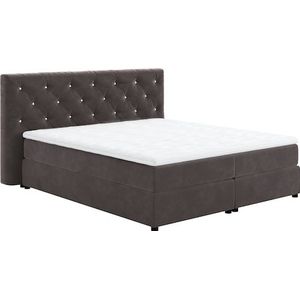 COTTA Boxspringbett »Castle«, mit Strasssteinen im Kopfteil, inkl. Topper