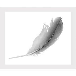 queence Bild »Madita«, Federn-Kunst-Schwarz-Weiß, HD Premium Poster-Druck inkl. Holzrahmen
