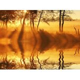 Papermoon Fototapete »DÄMMERUNG-REFLEXION VON BÄUMEN UFER FLUSS SEE SONNE«