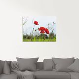 Artland Glasbild »Mohnblumen I«, Blumen, (1 St.), in verschiedenen Größen