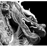 Papermoon Fototapete »Chinesischer Drache Schwarz & Weiß«