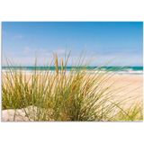 Artland Wandbild »Dünengras«, Strand, (1 St.), als Alubild, Outdoorbild, Leinwandbild, Poster in verschied. Größen