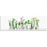 Artland Küchenrückwand »Öle mit Kräutern«, (1 tlg.), Alu Spritzschutz mit Klebeband, einfache Montage