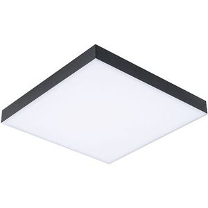 Paulmann LED Panel »Velora Rainbow«, 1 flammig