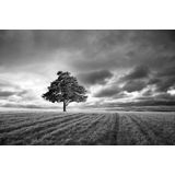 Papermoon Fototapete »Landschaft schwarz & weiß«