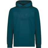 Trigema Kapuzensweatshirt »TRIGEMA Kapuzenpullover mit großem 3D-Motiv«