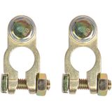 ProPlus Accupoolklem Set - M10 Bout - Goudkleurig - Messing - Voor Min en Plus Pool