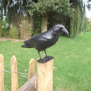 Lifetime Vogelverschrikker/ duivenverjager raaf/zwarte kraai van plastic