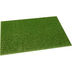 Intrada Nederland Groene deurmat - kunststof - vuilafschrapend - 40 x 60 cm