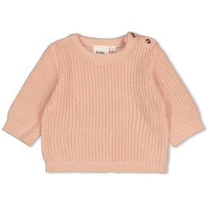 Feetje sweater gebreid - the magic i trui roze