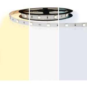 8 meter dual white led strip basic met 60 leds - losse strip