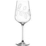Witte Wijnglas Leonardo Boccio 580ml (Set van 6)
