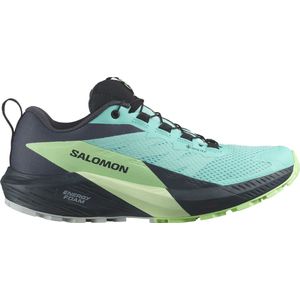 Trail schoenen Salomon SENSE RIDE 5 GTX W l47216000 44 EU