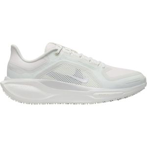 Hardloopschoen Nike Pegasus 41 GORE-TEX fq1357-101 Maat 36,5 EU