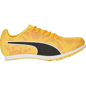 Track schoenen/Spikes Puma evoSPEED Star 8 Junior 377960-01 36 EU