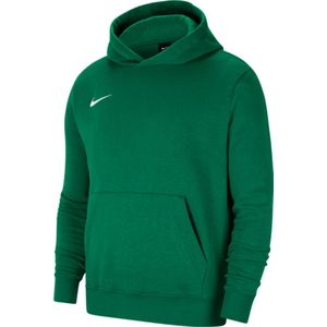 Sweatshirt met capuchon Nike Y NK FLC PARK20 PO HOODIE cw6896-302 XS