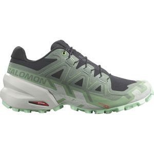 Trail schoenen Salomon SPEEDCROSS 6 W l47301300 38 EU