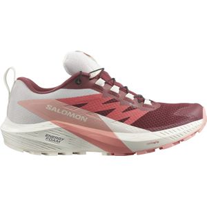 Trail schoenen Salomon SENSE RIDE 5 GTX W l47314500 40,7 EU