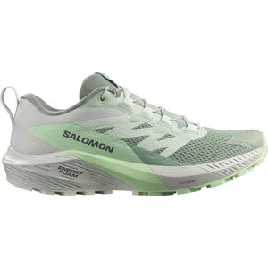 Trail schoenen Salomon SENSE RIDE 5 W l47314100 40,7 EU