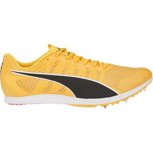 Track schoenen/Spikes Puma evoSPEED Distance 11 377961-01 Maat 46,5 EU