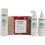 Goldwell - Dualsenses Scalp Specialist Set - Anti-roos Shampoo en Serum - 250 ml en 150 ml