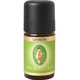 Primavera Aroma Therapy Essential oils organic Lariks