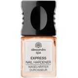 Alessandro Verzorging NagelverzorgingExpress nagelverharder Silver Glam 10 ml (€ 1.201,00 / 1 l)