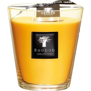 Baobab Collection All Seasons Scented Candle Zanzibar Spices Max 16