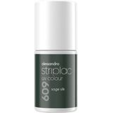 Alessandro - Striplac UV Colour - Nagellak - 609 Sage Silk - 6,5 ml