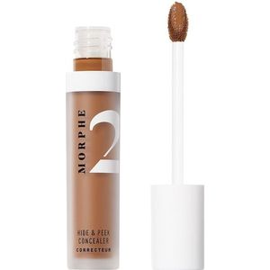 Morphe Make-up gezicht Concealer Hide & Peek Concealer Chestnut