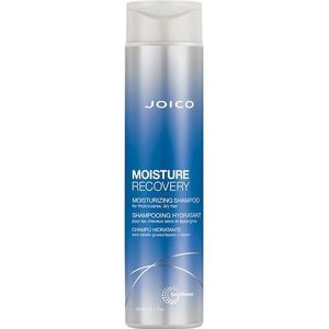 JOICO Haarverzorging Moisture Recovery Moisturizing Shampoo