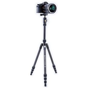 Vanguard Vesta TB 204CB