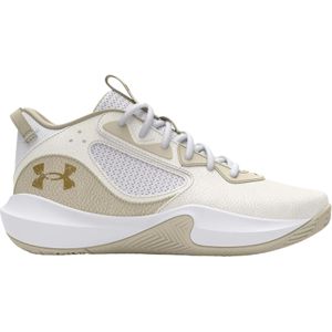 Basketbal schoenen Under Armour UA Lockdown 6 3025616-103