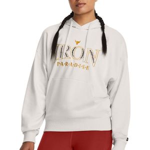 weathirt met capuchon Under Armour Pjt Rck Everyday Terry Hdy-GRN 1380186-114