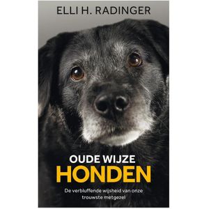 Oude wijze honden