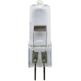 Osram - Halogeenlamp - Transparant - Glas - G6.35 - 50 W - 12 V