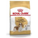 Royal Canin Adult Cavalier King Charles hondenvoer