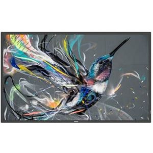 Philips 65BDL3650QE - 65 diagonale klasse (64.5 zichtbaar)