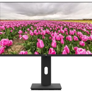 23.8IN HT ADJUST MONITOR HDMI 100HZ 1080
