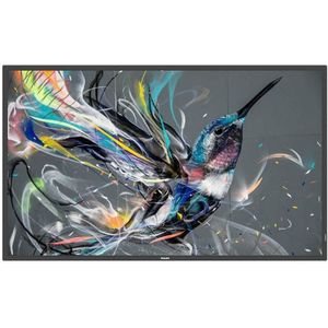 Philips - 55BDL3650QE/00 - Uithangbord - Zwart - UHD - 55"