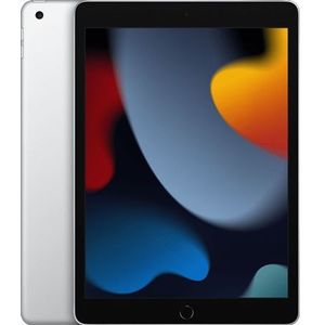 Apple iPad (2021) wifi + 4G 64GB zilver