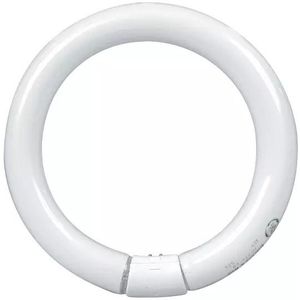 Fluorescentielamp - Warm Wit - 30 Watt - T9 G10q Fitting - 55 cm