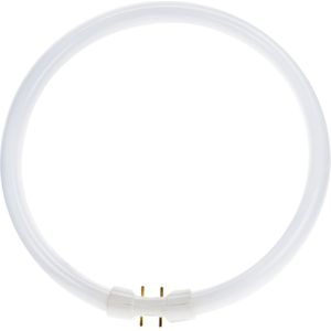 T5 Circline - 22W - 2GX13 Fitting - Koel Wit - 4-Pin - Φ230MM